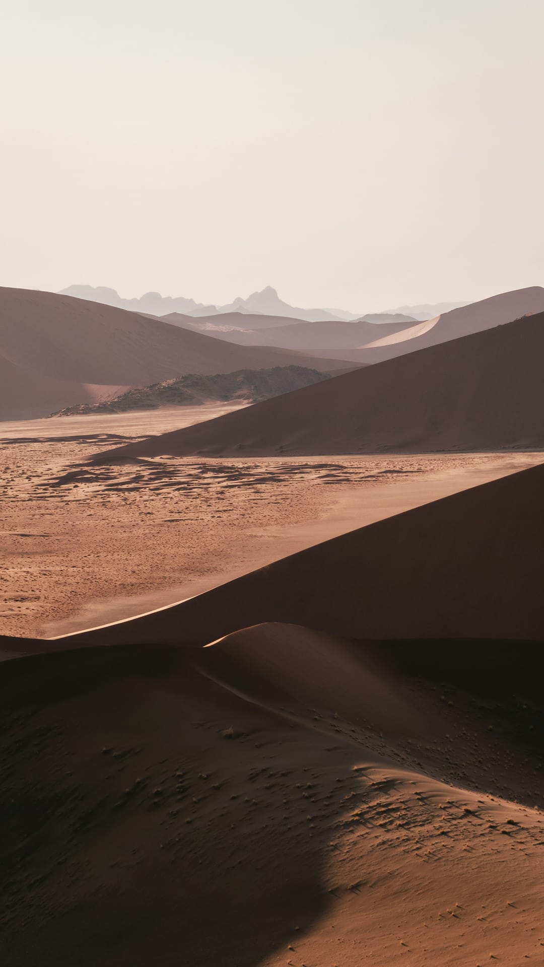 Into the Oldest Desert: Why Namibia Is the Most Extraordinary Journey You Haven't Taken Yet